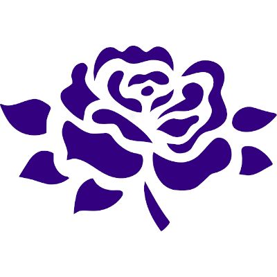 Avatar BlueRose