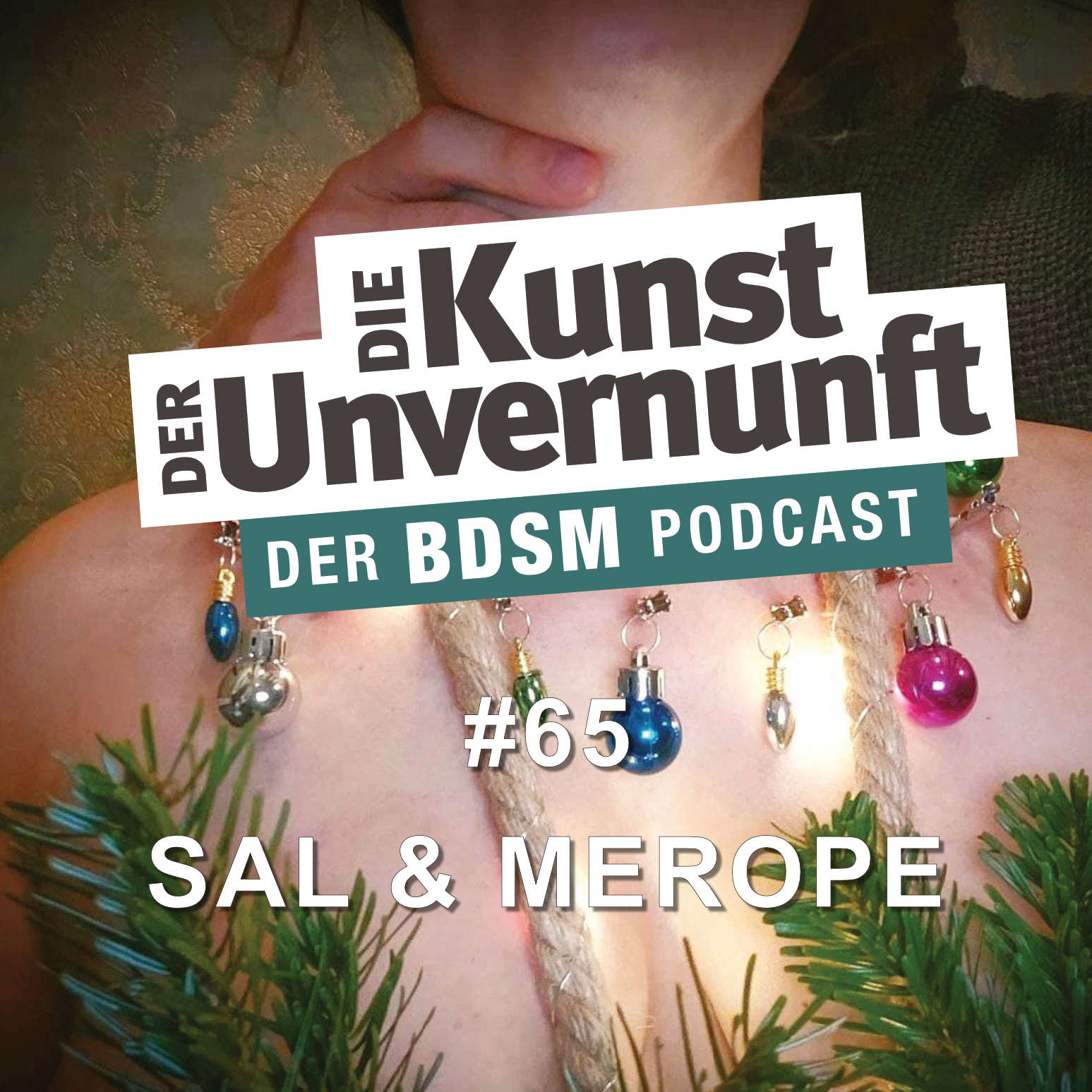 Cover Sal & Merope - Dominant aufgefallen