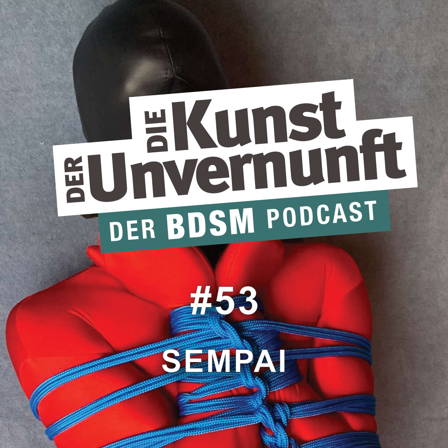 Cover Sempai - BDSM von den 80ern bis heute