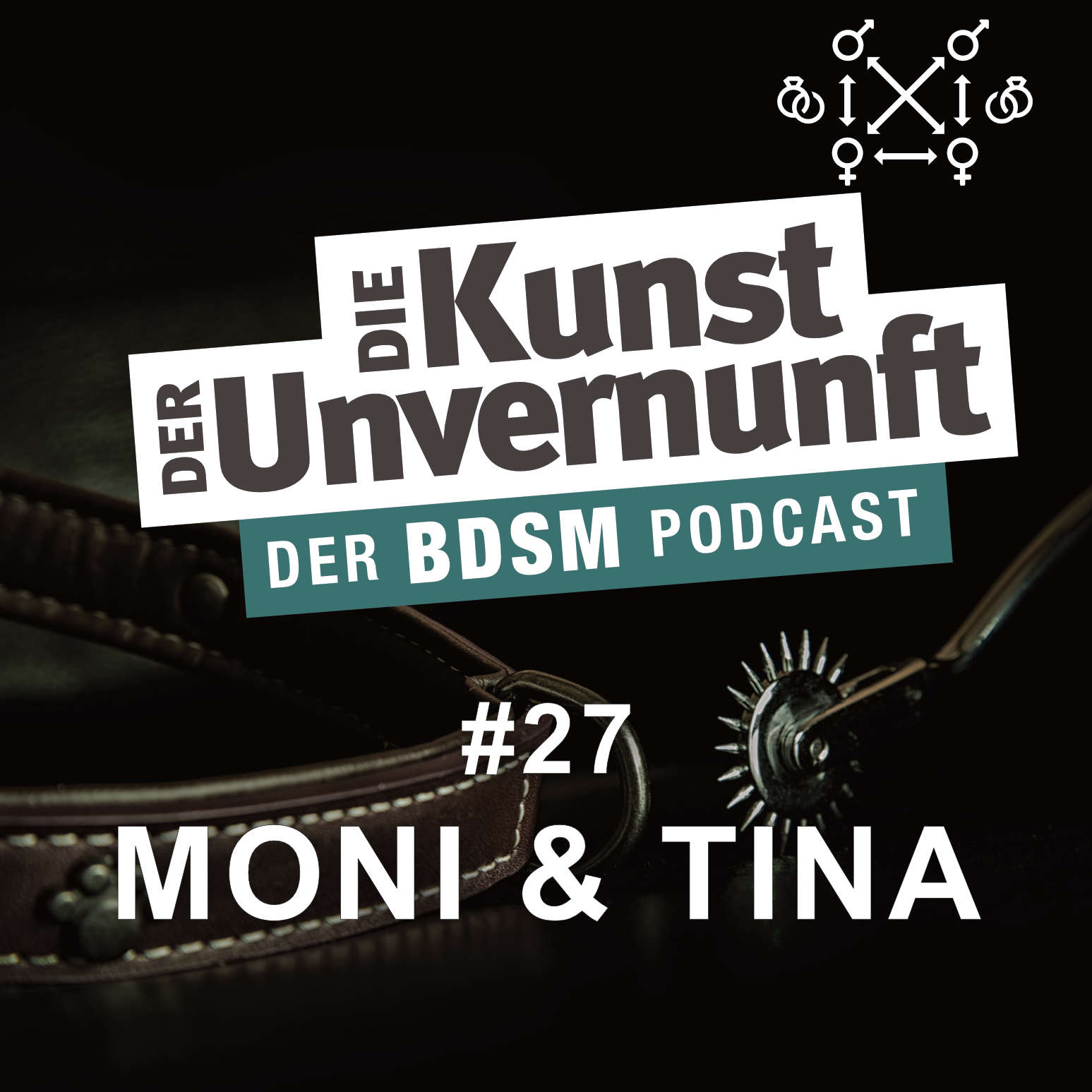 Cover moni und tina - gewagte Theorie zu viert