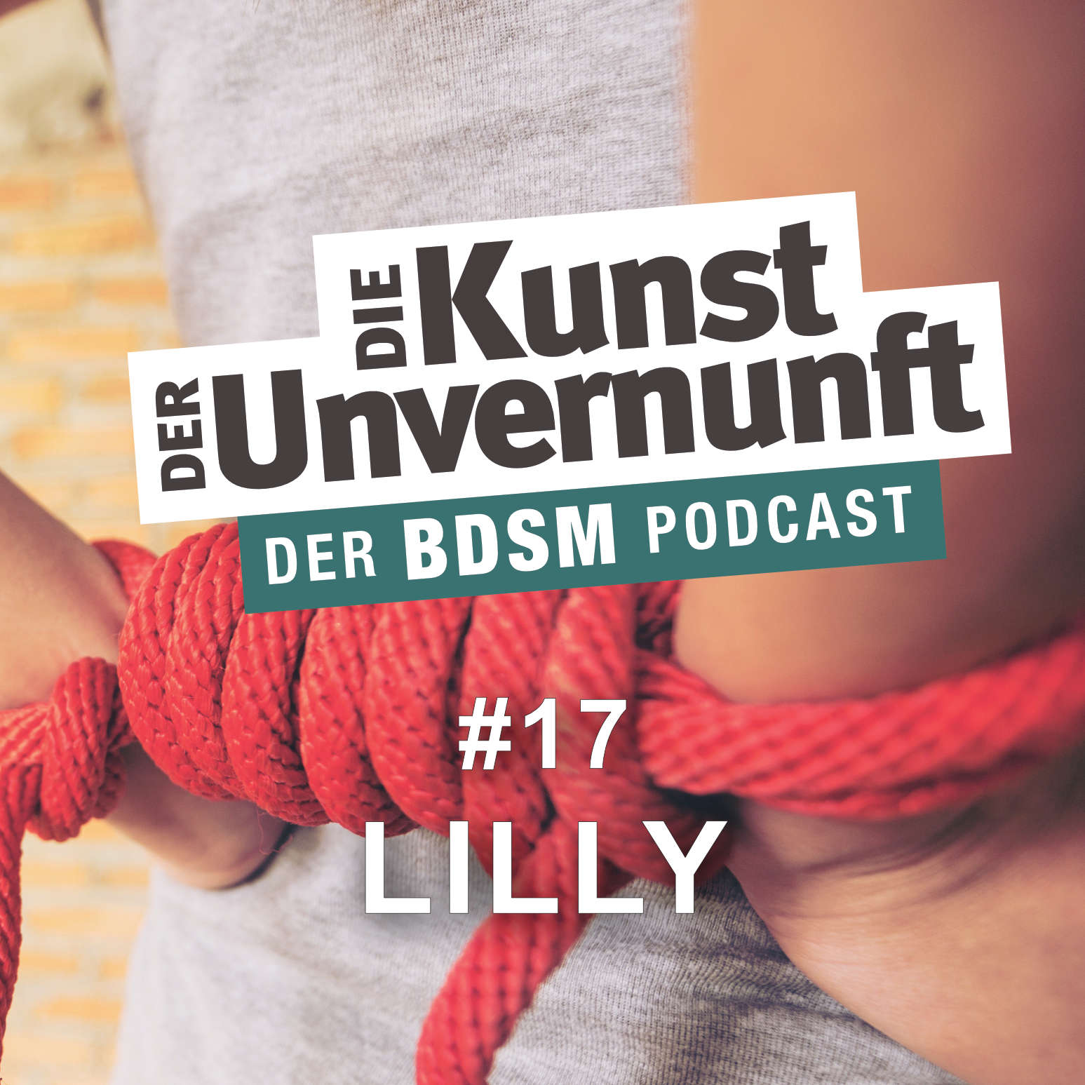 Cover Lilly - Wie die ersten Wochen waren