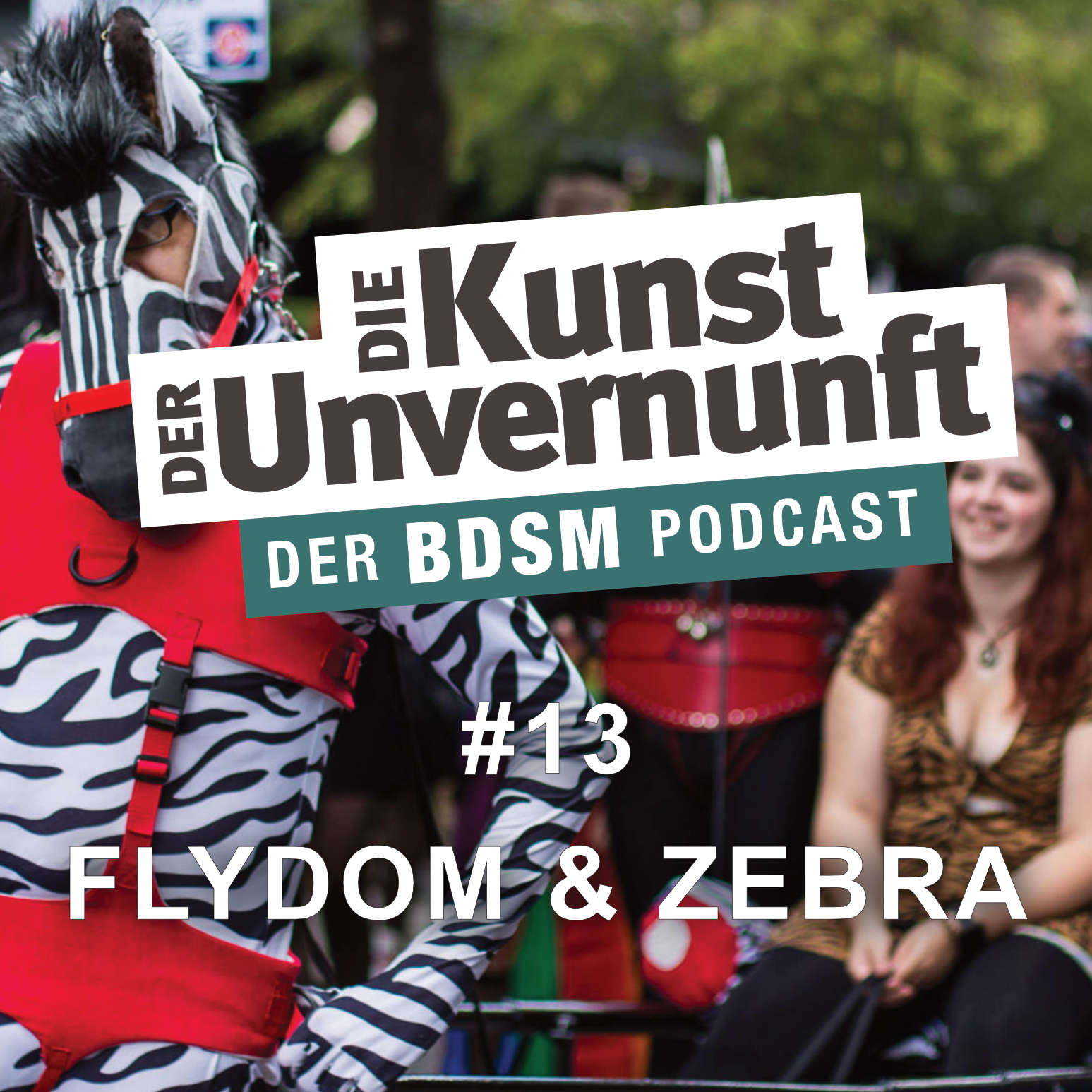 Cover Flydom + Zebra - Petplay Petplay Petplay