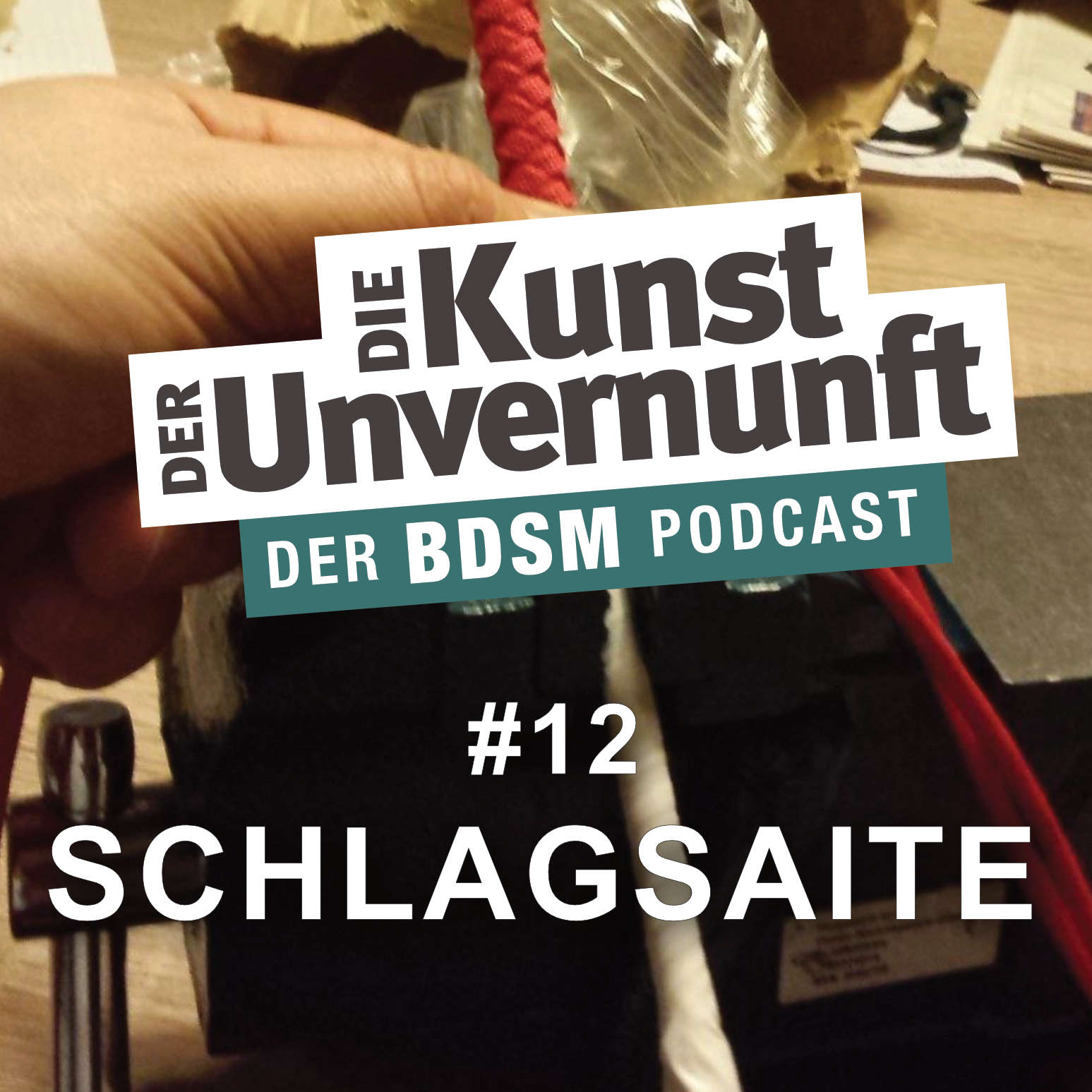 Cover Schlagsaite - Bondage und offene Ehe