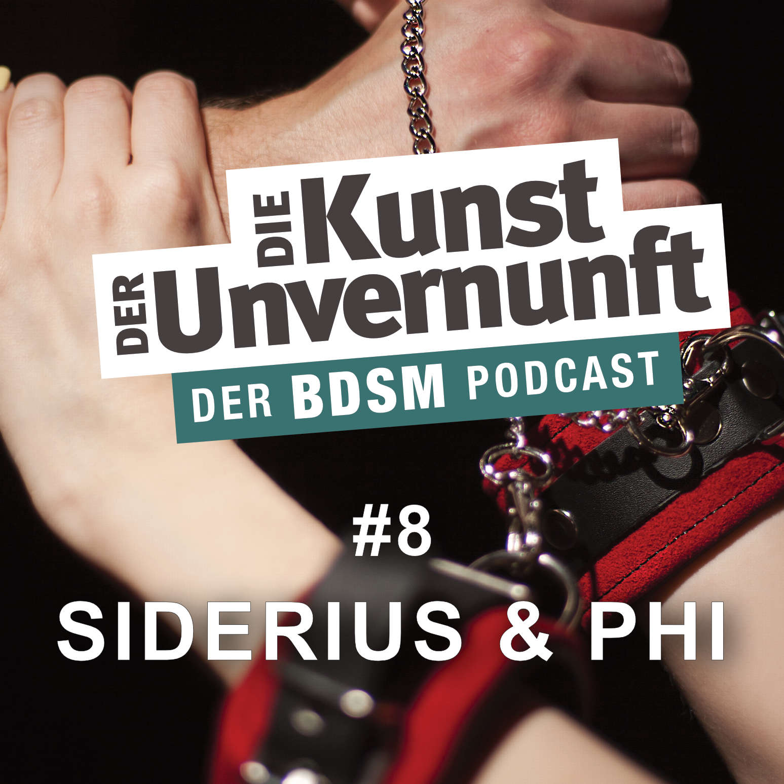 Cover Siderius + Phi - BDSM für Beginner