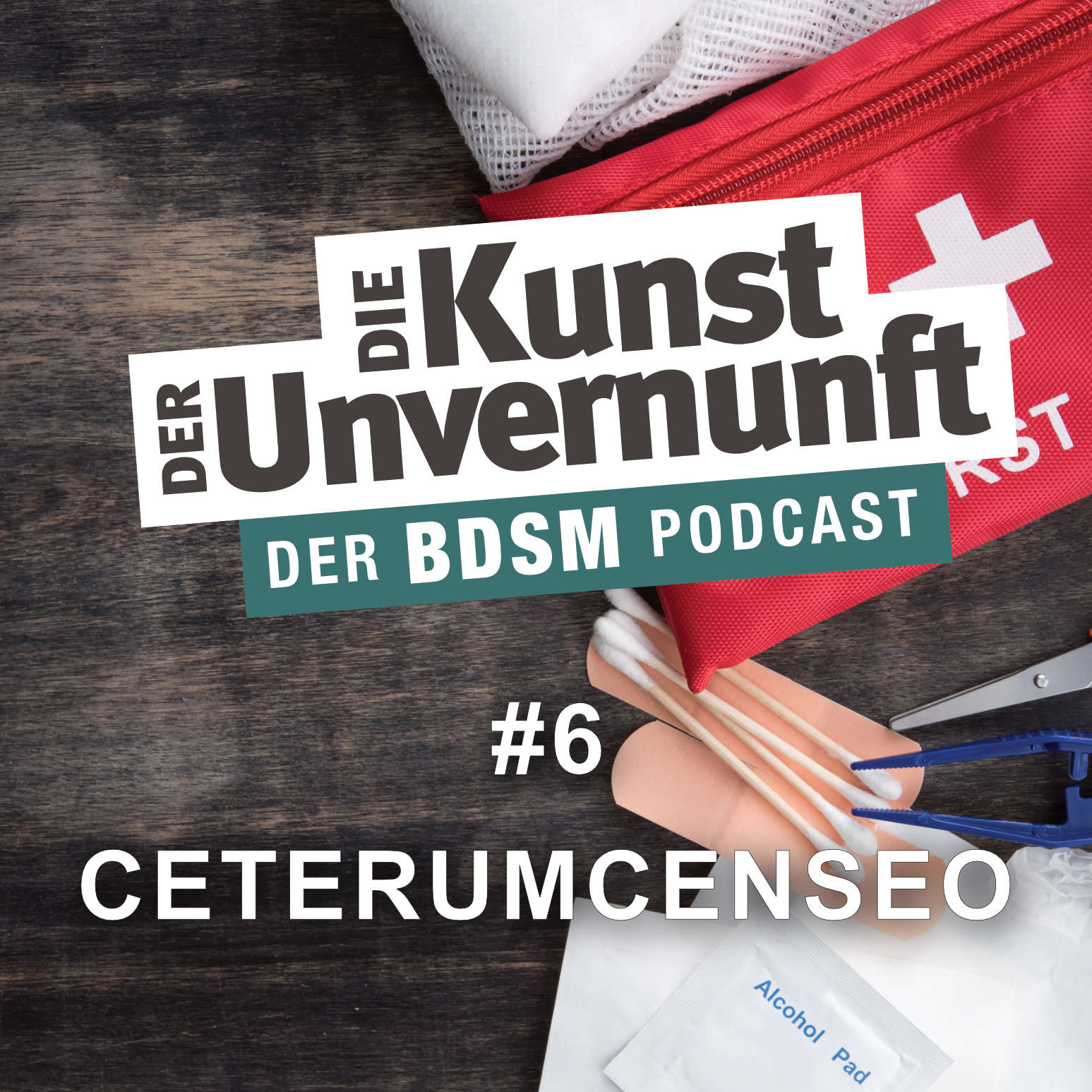 Cover ceterumcenseo - BDSM-Erste-Hilfe-Kurse, RACK und D/S again
