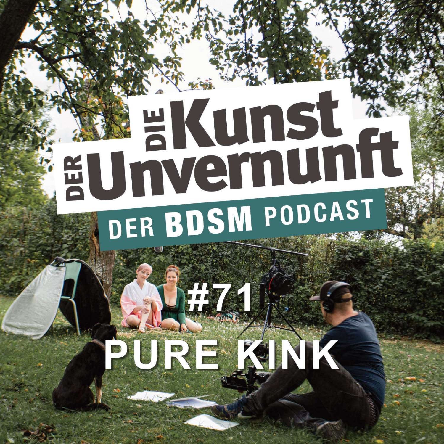 Cover Pure Kink - Eine Dokumentation über Kink