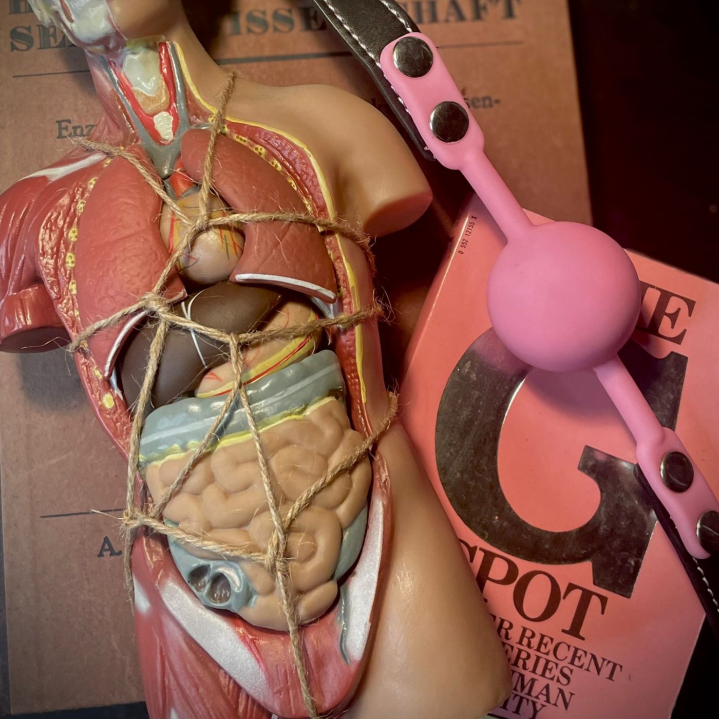Coverbild Urokalypse - BDSM aus sicht der Medizinerin