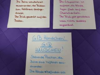 Bild